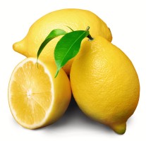 Avola Limoni