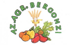 Bergonzi Gabriele - azienda agricola di Ortaggi