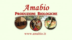 Mattioli - Amabio