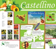Castellino