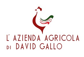 David Gallo