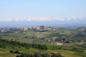 Il Germoglio Verde  - azienda agricola di Marmellate