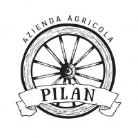 Pilan