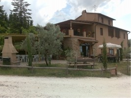 Cipollatico - azienda agricola di Vino