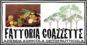 Fattoria Coazzette - azienda agricola di Ortaggi