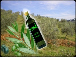 Azienda agricola produttrice di Olio a Firenze