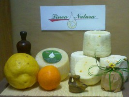 Linea natura - azienda agricola di Formaggi
