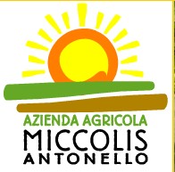 Miccolis Antonello