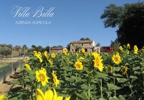 Villa Billa