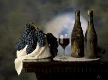 Villa Gioia - azienda agricola di Vino